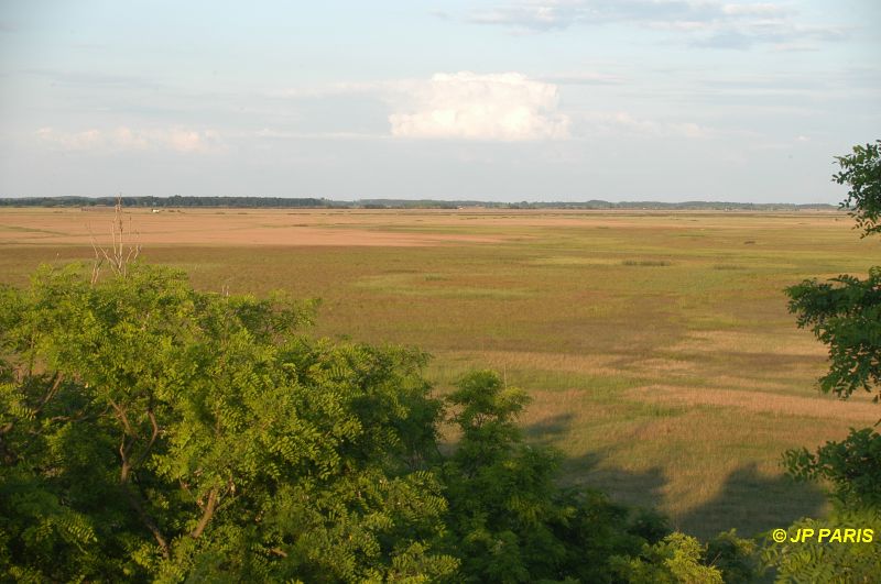 Hortobagy